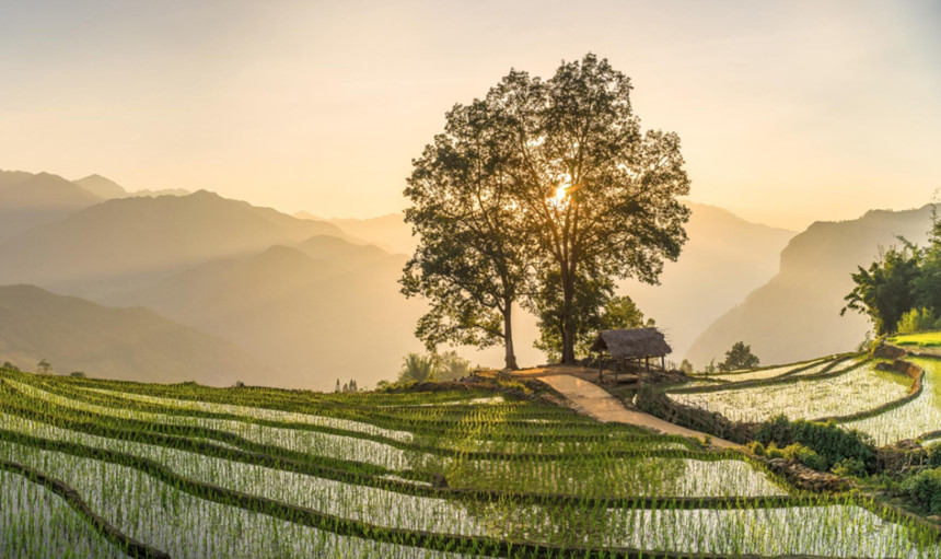 Singapore bị đánh bật khỏi vị trí quốc gia đáng sống nhất hành tinh, Việt Nam nằm trong top 10