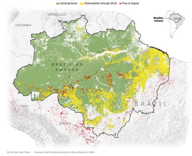 The New York Times: Phân tích ảnh vệ tinh đã chỉ ra chính xác thủ phạm gây thảm họa cháy rừng tại Amazon